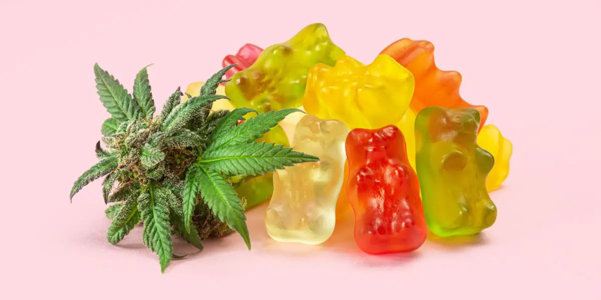 Weed edibles