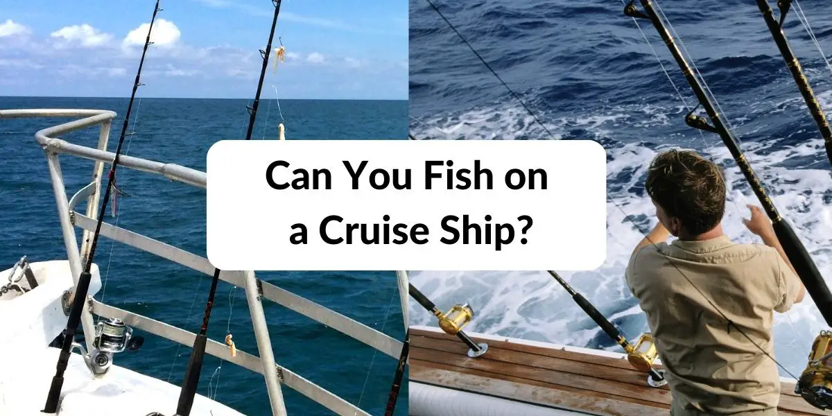 Can You Fish on a Cruise Ship