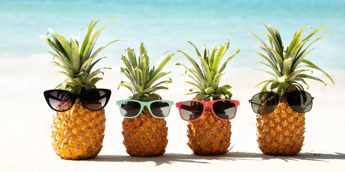 Funny Pineapples on Beach with sunglasses