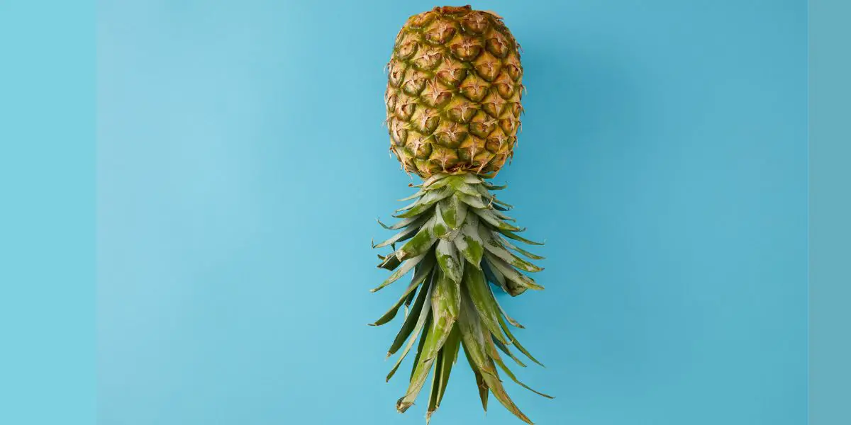 Upside Down Pineapple