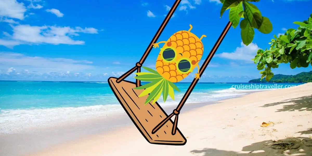 pineapple on cruise meaning