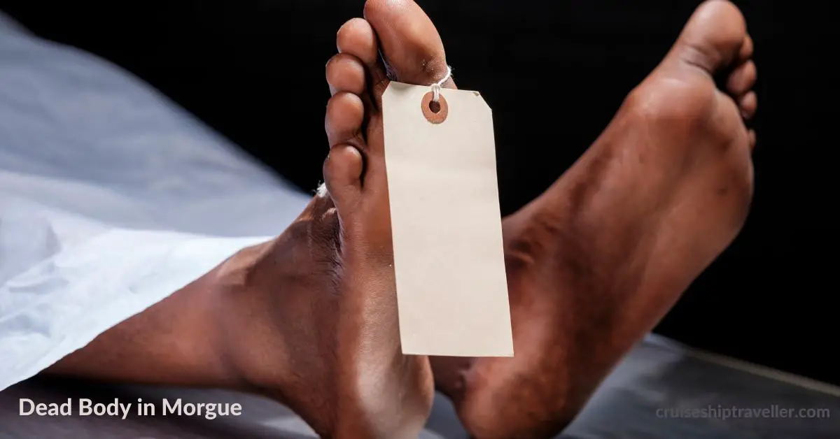 Feet of a body in a morgue with ID tag