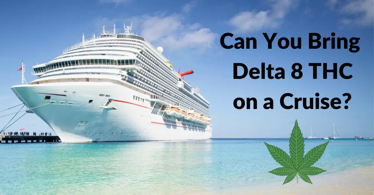 Can You Bring Delta 8 on a Cruise?